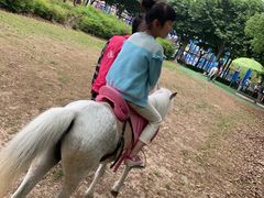 -东方绿舟景区