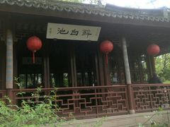 -上海醉白池公园