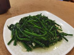 蒜蓉树菜-揭阳钟记小食(福田新村店)