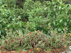 -韵之源农家菜(北京1店)