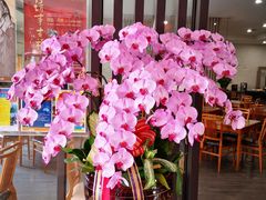 -佛光山朝山会馆