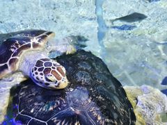 -福州罗源湾海洋世界旅游区