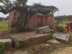 -海上花岛玫瑰园采摘