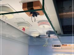 -BLACKSWAN黑天鹅(环球店)