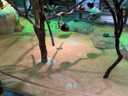 -酷嗒动物文化乐园(cutezoo西溪乐天城店)