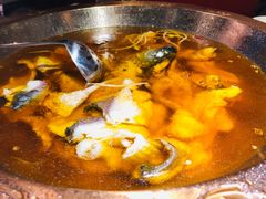 -雲蜀龙阁·金牌水煮鱼(方庄店)