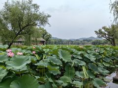 -承德避暑山庄景区