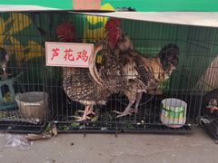 -王婆炒鱼(总店)