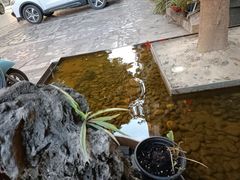 -老灶房-四川土菜(开元店)
