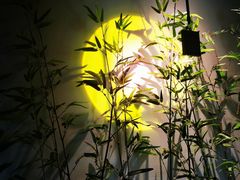 -王红军龙虾(盐仓桥店)