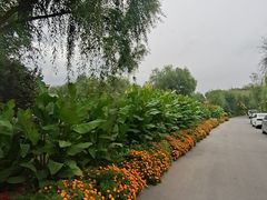 -关东文化园