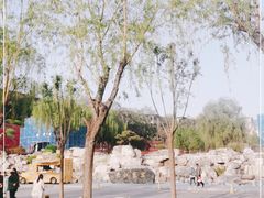 -西安曲江寒窑遗址公园
