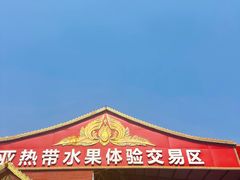 -曼阁市场水果批发市场