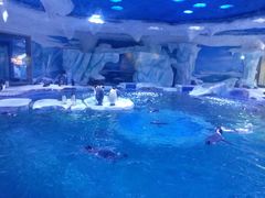-上海海昌海洋公园-停车场
