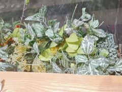 -郭家大院 老南京土菜(九霄店)