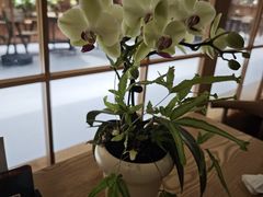 -佛有缘素食馆·荔湾老字号(陈家祠首店)