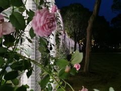 -渤公岛生态公园