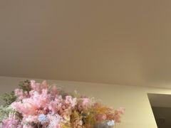 -团子君寿司·茶
