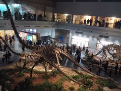 -自贡恐龙博物馆