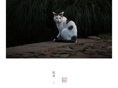 -法云安缦酒店