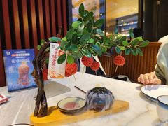 -唐猫庭院·千年陕菜(大唐不夜城店)