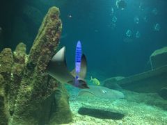 -福州罗源湾海洋世界旅游区