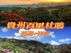 -贵州百里杜鹃风景名胜区