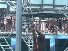 -西霞口神雕山野生动物世界