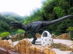 -将军关探险漂流