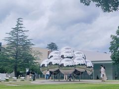 -金泽21世纪美术馆