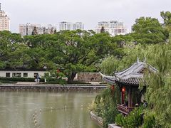 -江心屿景区