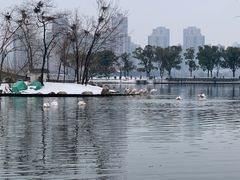 -武汉动物园