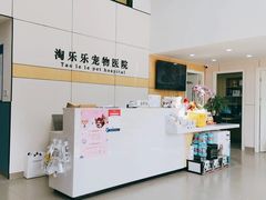 -凯瑞希宠物医院·狂犬免疫·微创·皮肤科