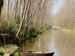 -合肥滨湖国家森林公园