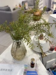 -圣提生活馆