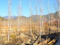 -泸沽湖国家级风景名胜区走婚桥