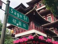 -新加坡佛牙寺龙华院