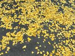 -湘寶缘(育英中学店)