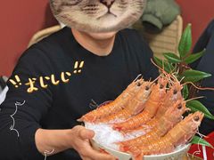 -万岛日本料理铁板烧(梅赛德斯奔驰店)