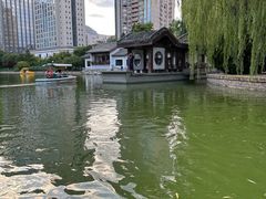 -团结湖公园