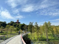 -东莞植物园