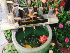 -百花洲