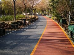 -大兴滨河森林公园