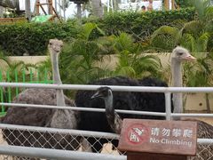 -三亚亚龙湾天域度假酒店