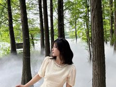 -东湖落雁景区