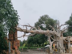 -红山国家森林公园