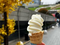 -汉堡王(徐汇绿地缤纷店)