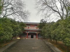 -灵谷景区