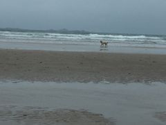 -六鳌翡翠湾滨海度假景区