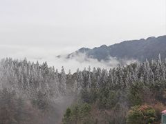 -永州阳明山国家森林公园
